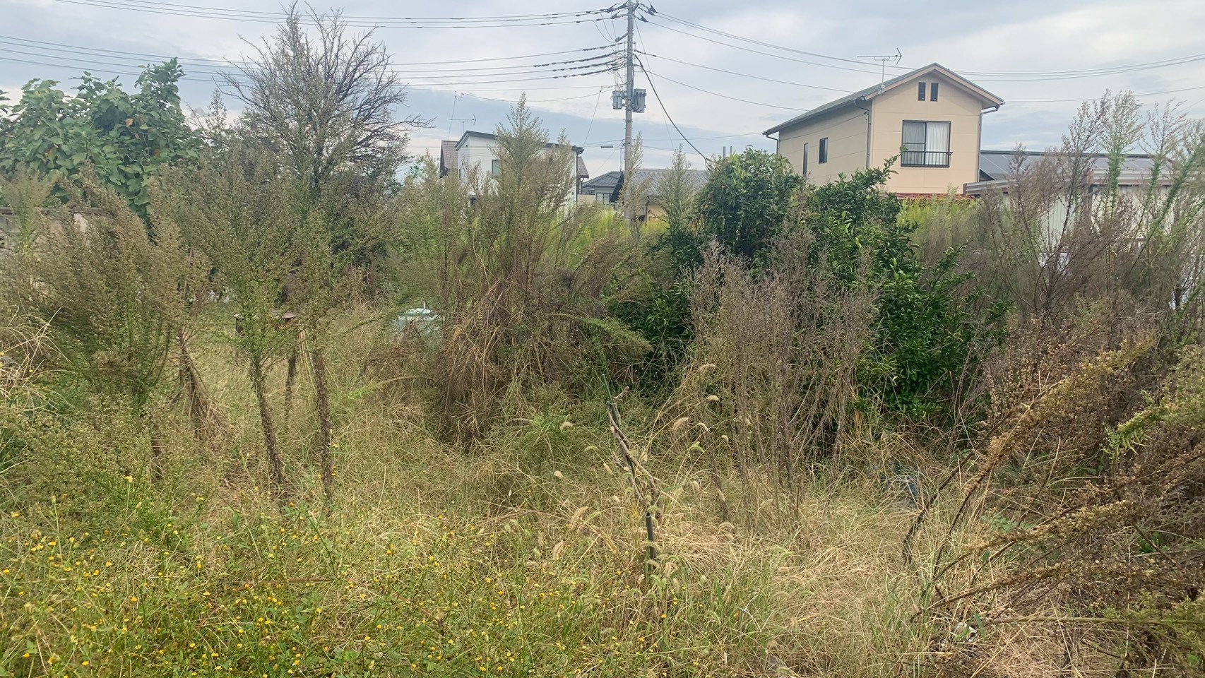 砕石敷設／防草シート敷設／草刈り／伐採工事＠栃木県足利市