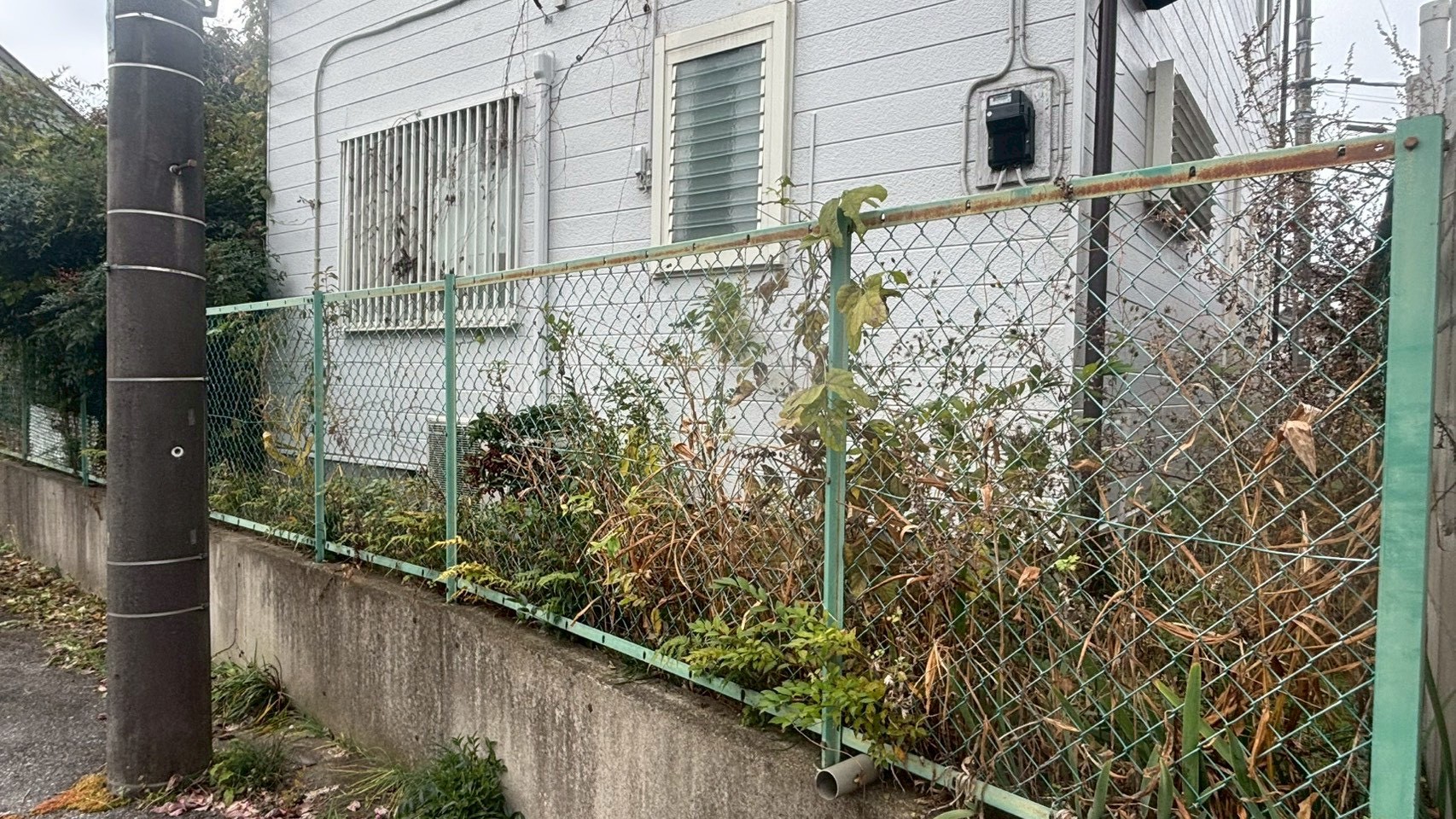 庭木伐採・剪定／草刈り作業＠栃木県宇都宮市