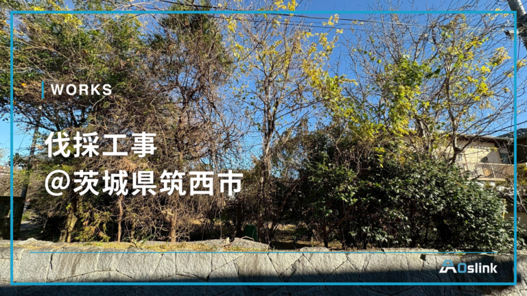 伐採工事 @茨城県筑西市