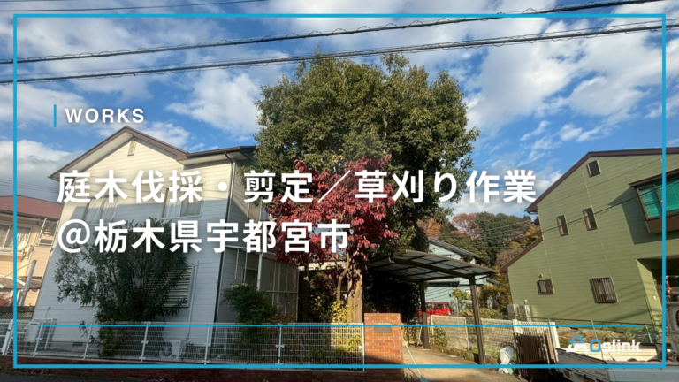 庭木伐採・剪定／草刈り作業＠栃木県宇都宮市