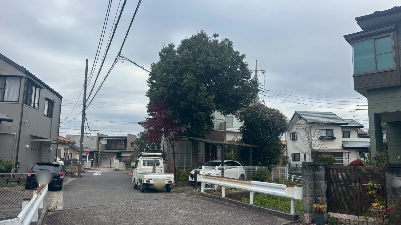 庭木伐採・剪定／草刈り作業＠栃木県宇都宮市