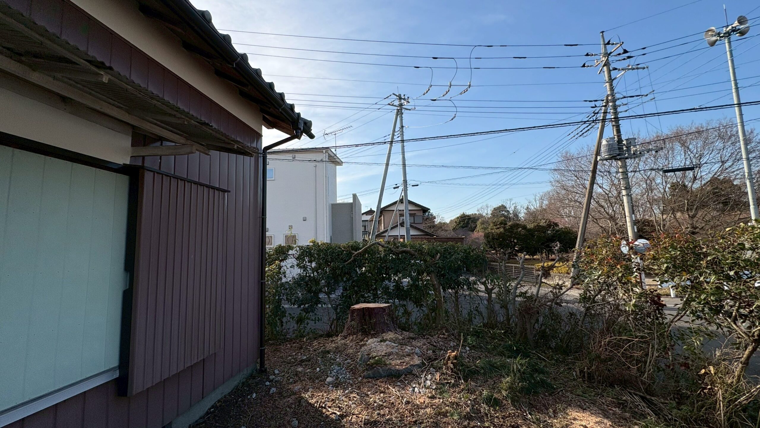 庭木伐採工事 @栃木県栃木市