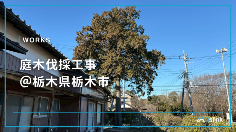 庭木伐採工事 ＠栃木県栃木市