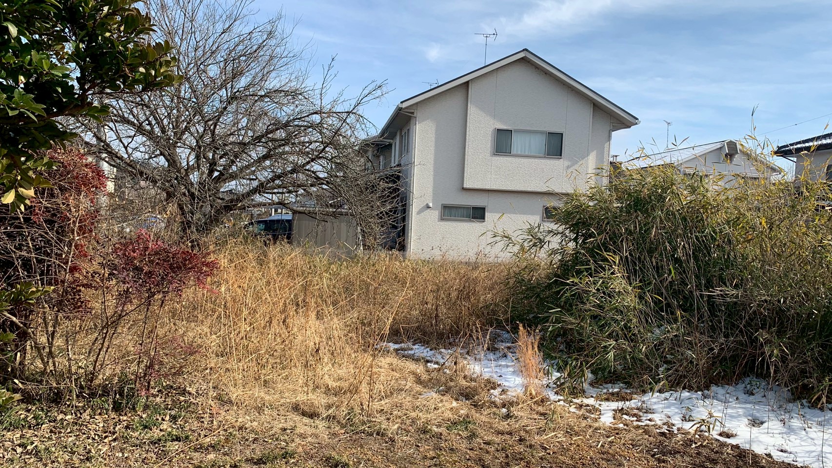 伐採・伐根・除草工事／整地工事 ＠栃木県宇都宮市