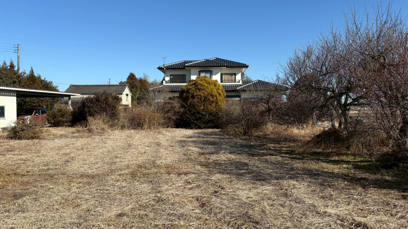 伐採・伐根・剪定工事 @栃木県さくら市