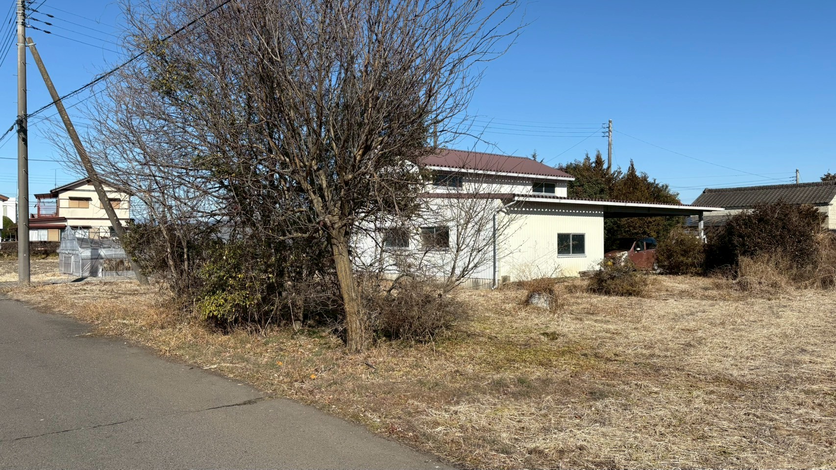 伐採・伐根・剪定工事 @栃木県さくら市