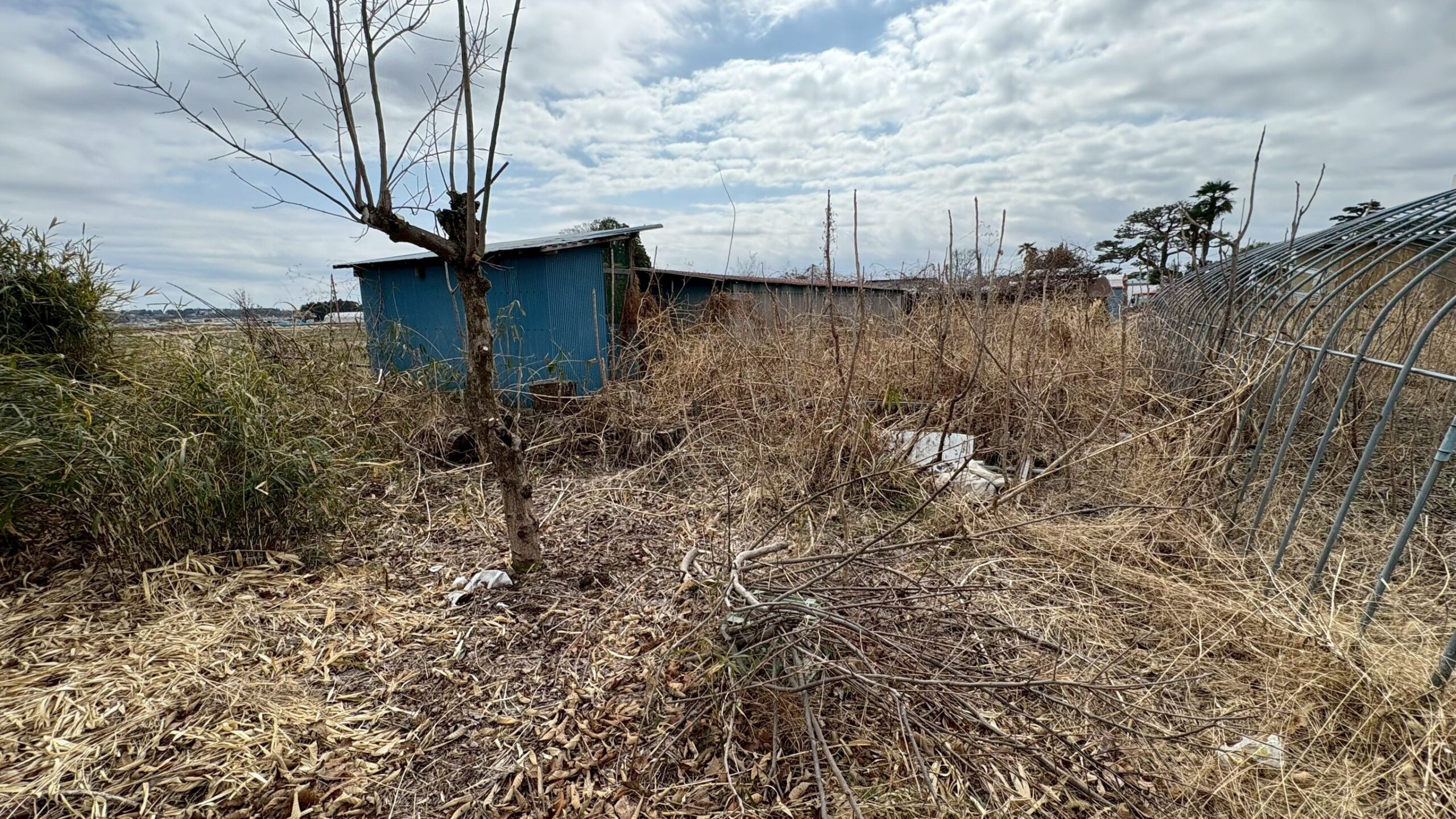 伐採・除草工事／撤去工事＠栃木県宇都宮市