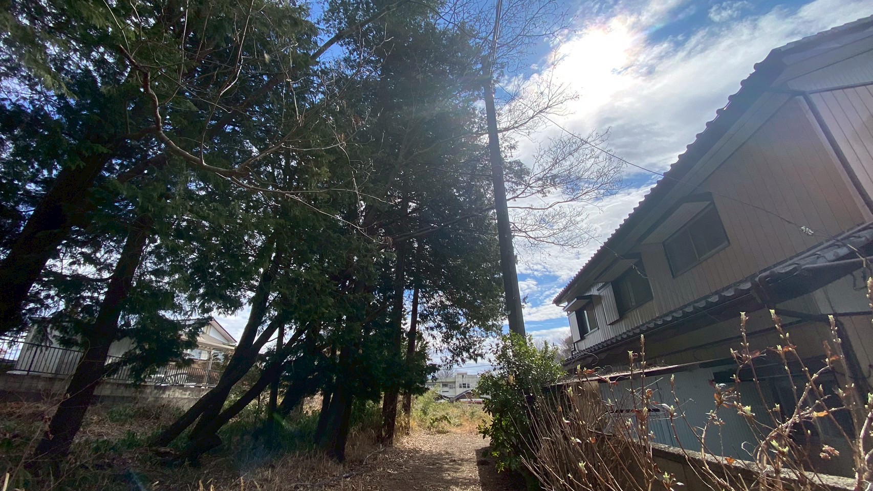 伐採工事@群馬県みどり市