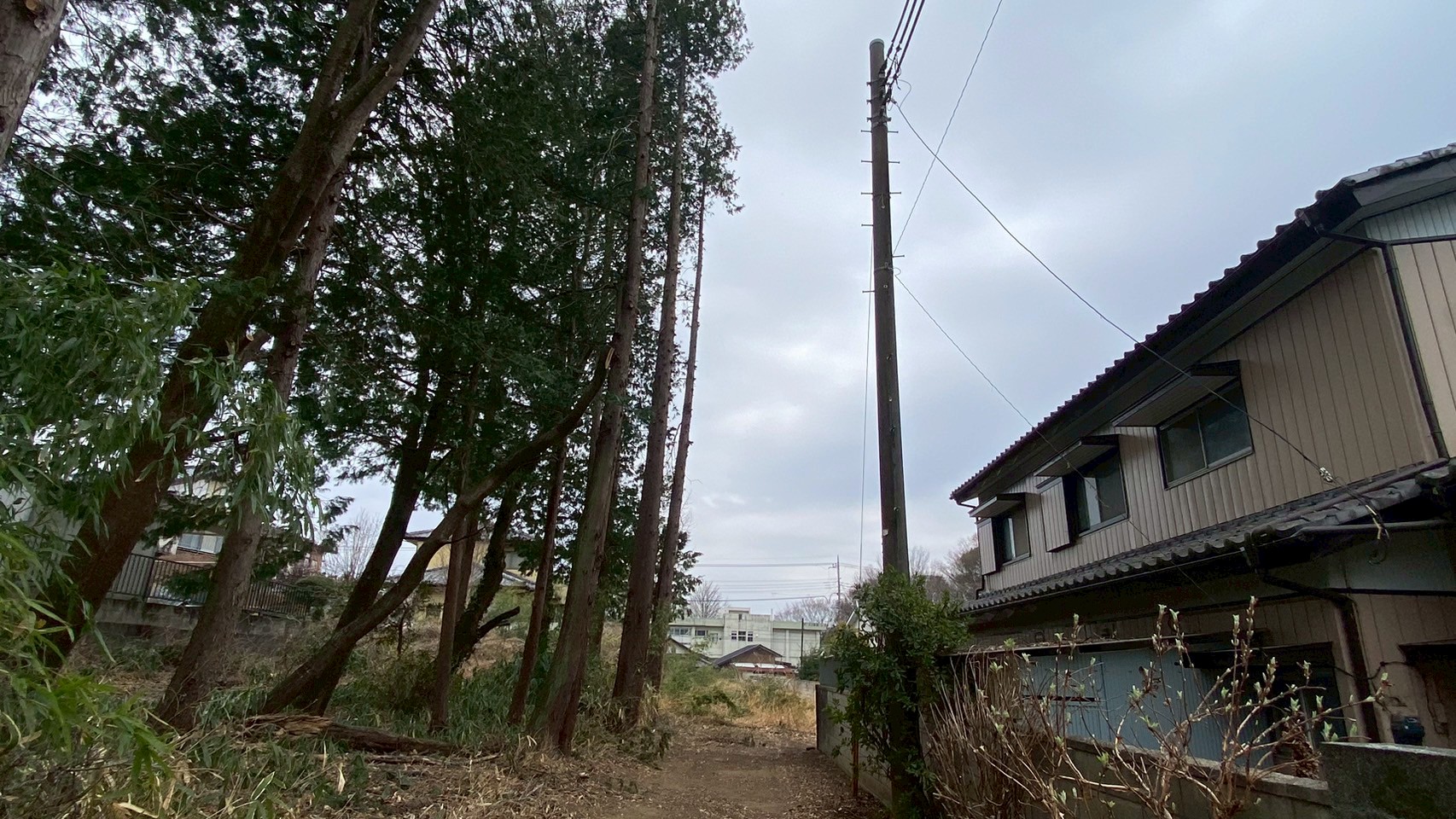 伐採工事@群馬県みどり市
