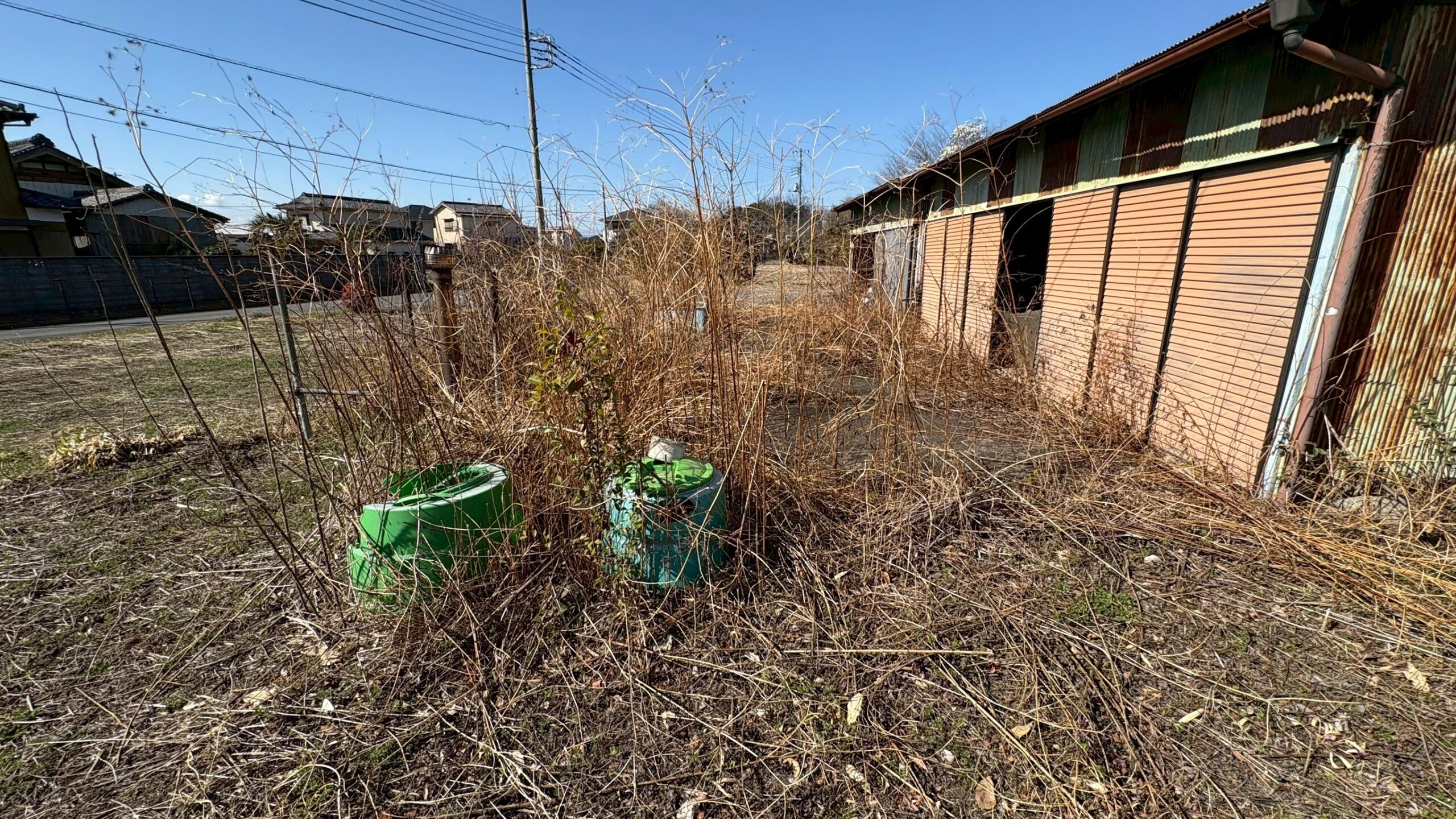 除草作業/伐採工事 @埼玉県熊谷市