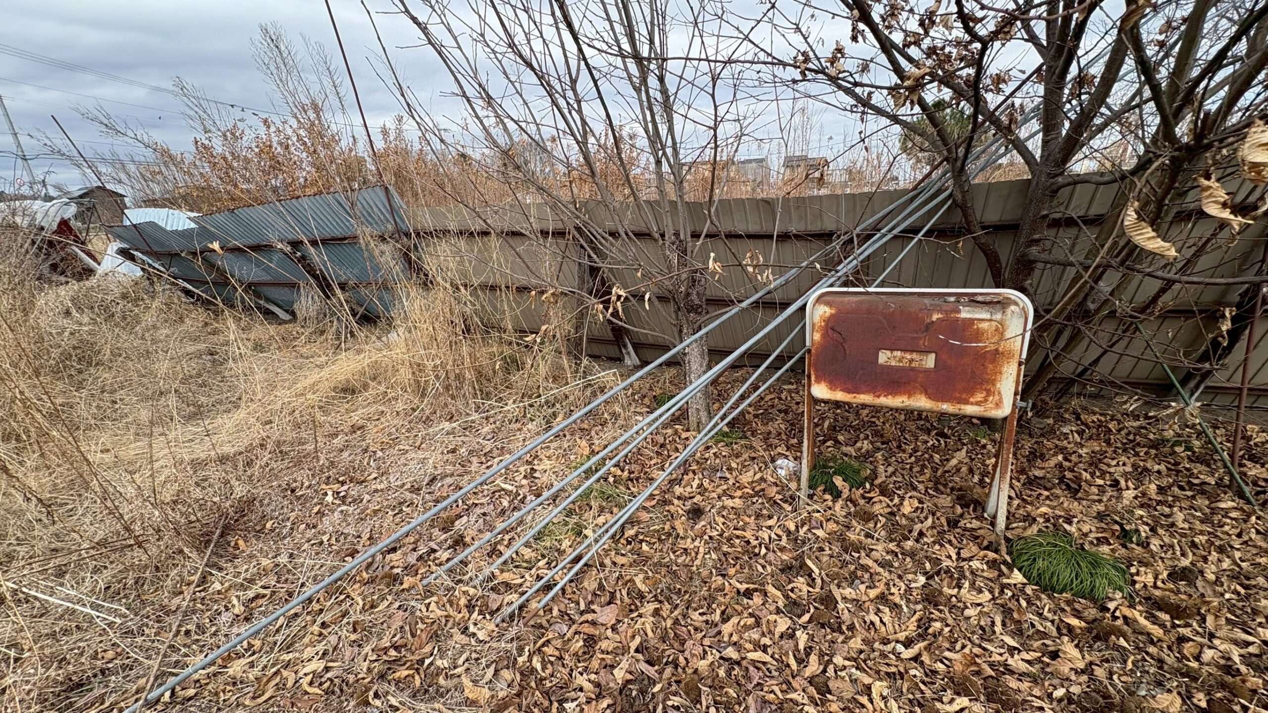 伐採・除草工事／撤去工事＠栃木県宇都宮市