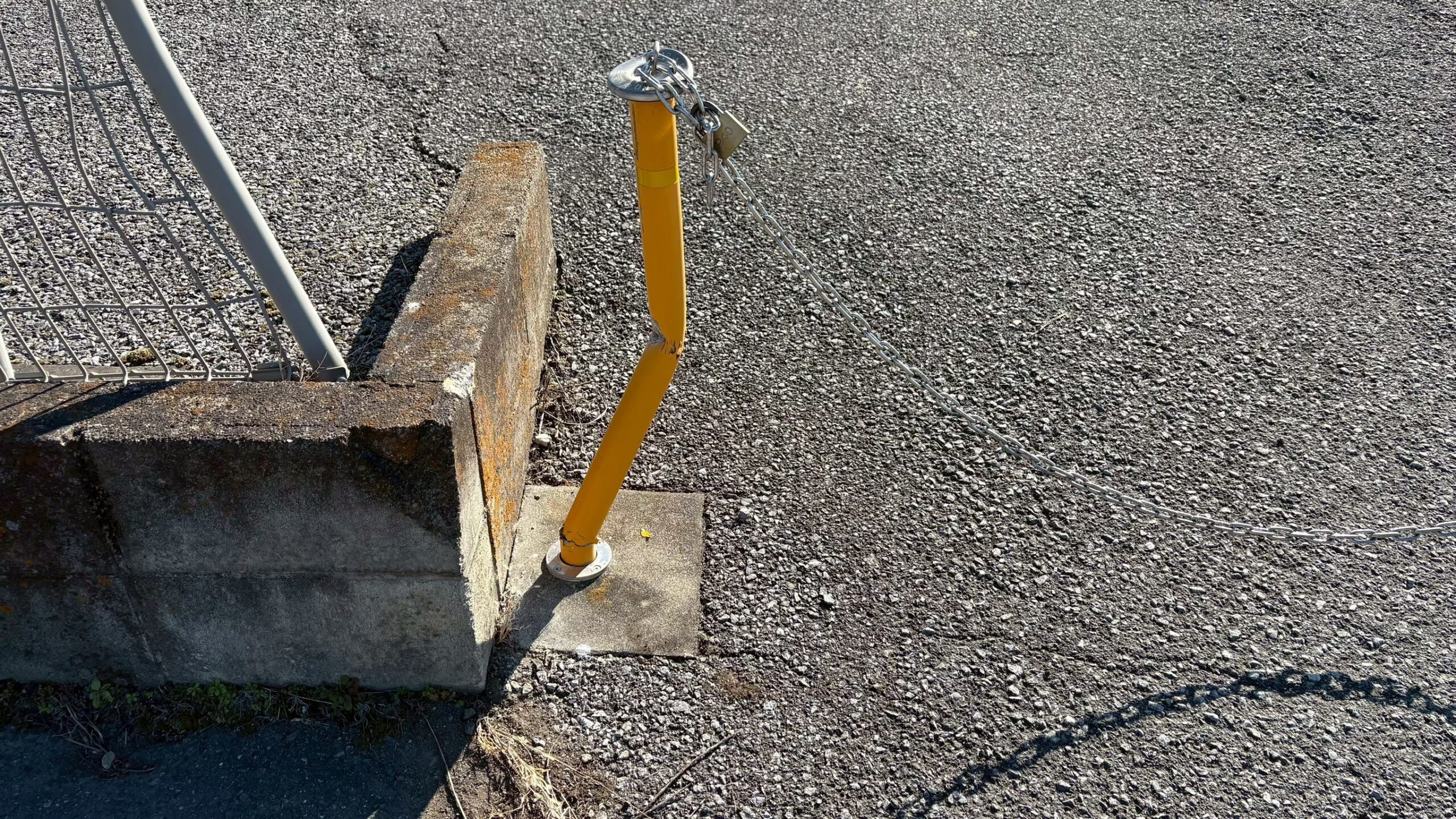 伐採・除草工事／撤去工事 ＠栃木県宇都宮市