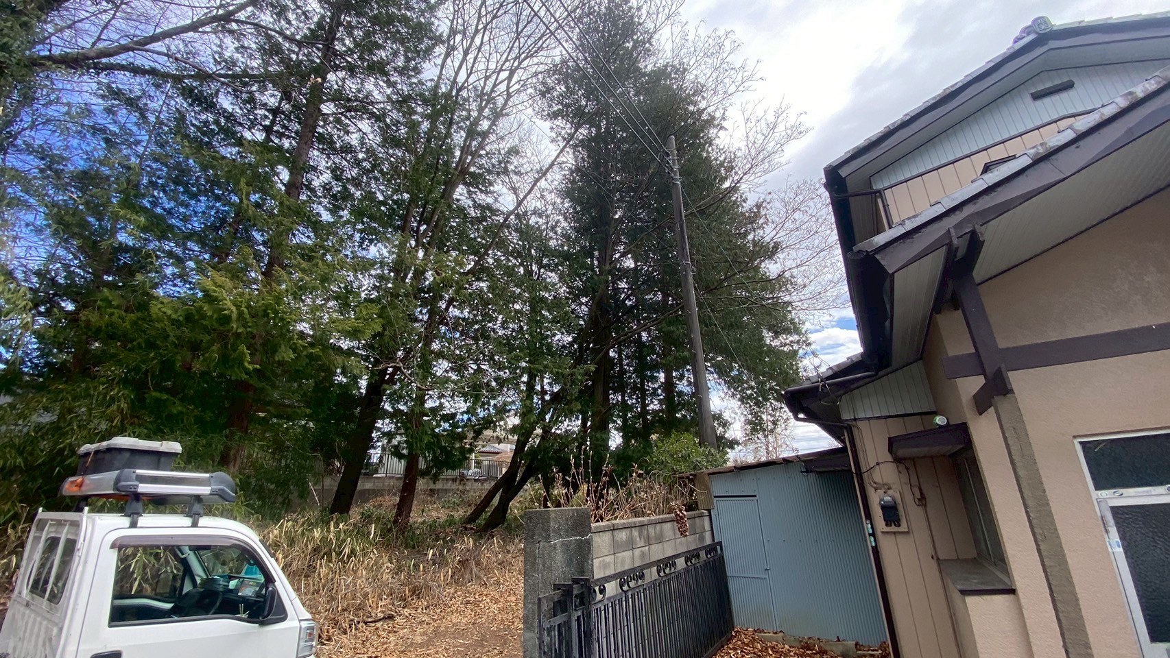 伐採工事@群馬県みどり市