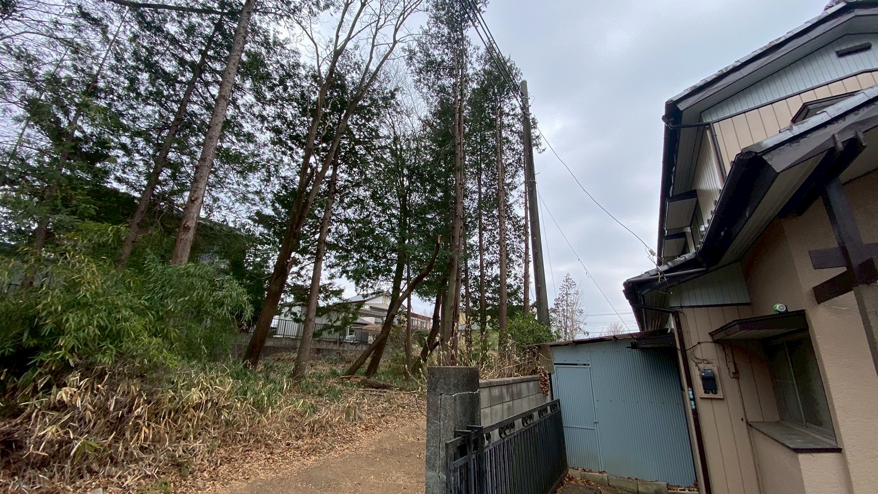 伐採工事@群馬県みどり市