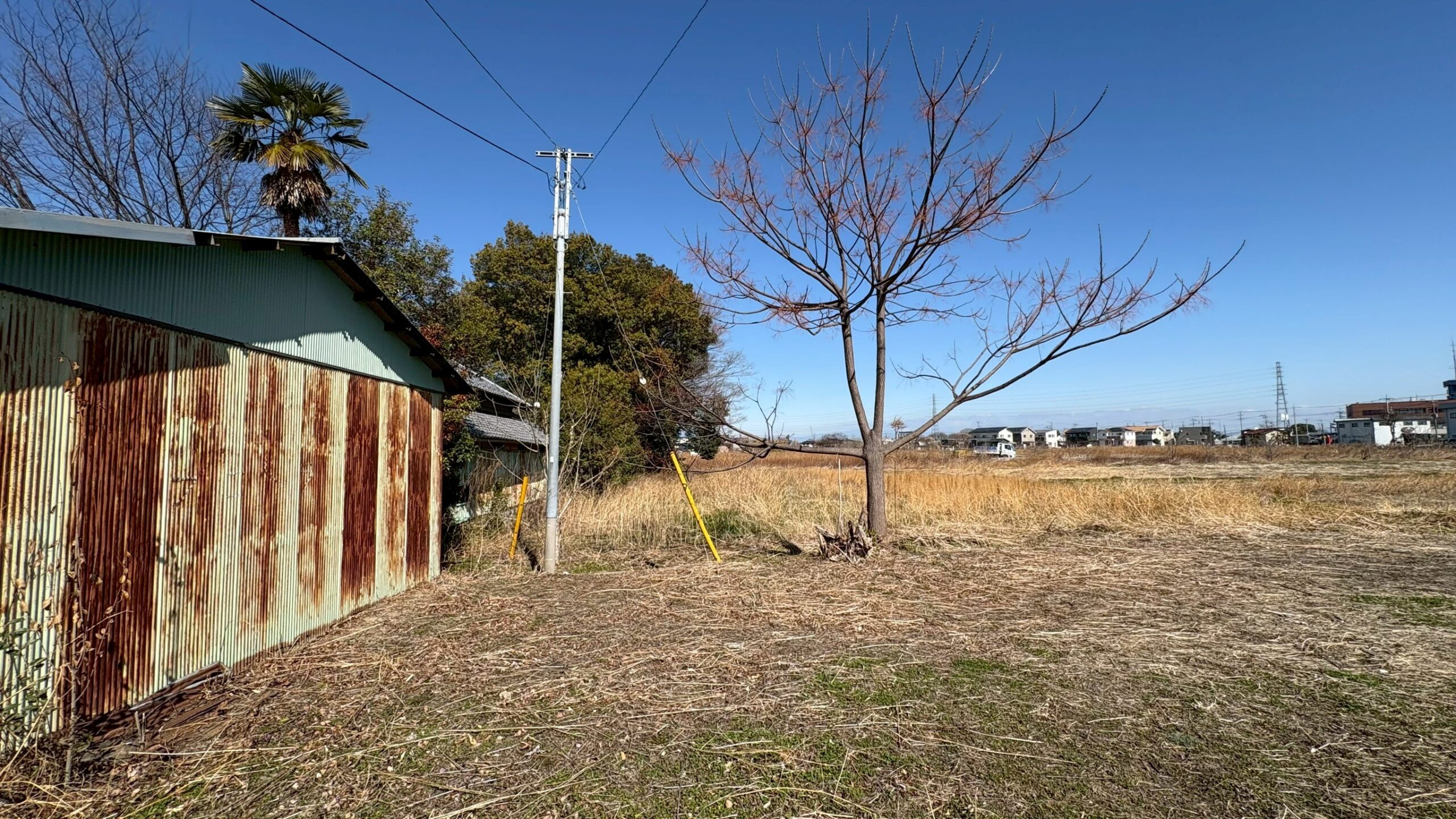 除草作業/伐採工事 @埼玉県熊谷市