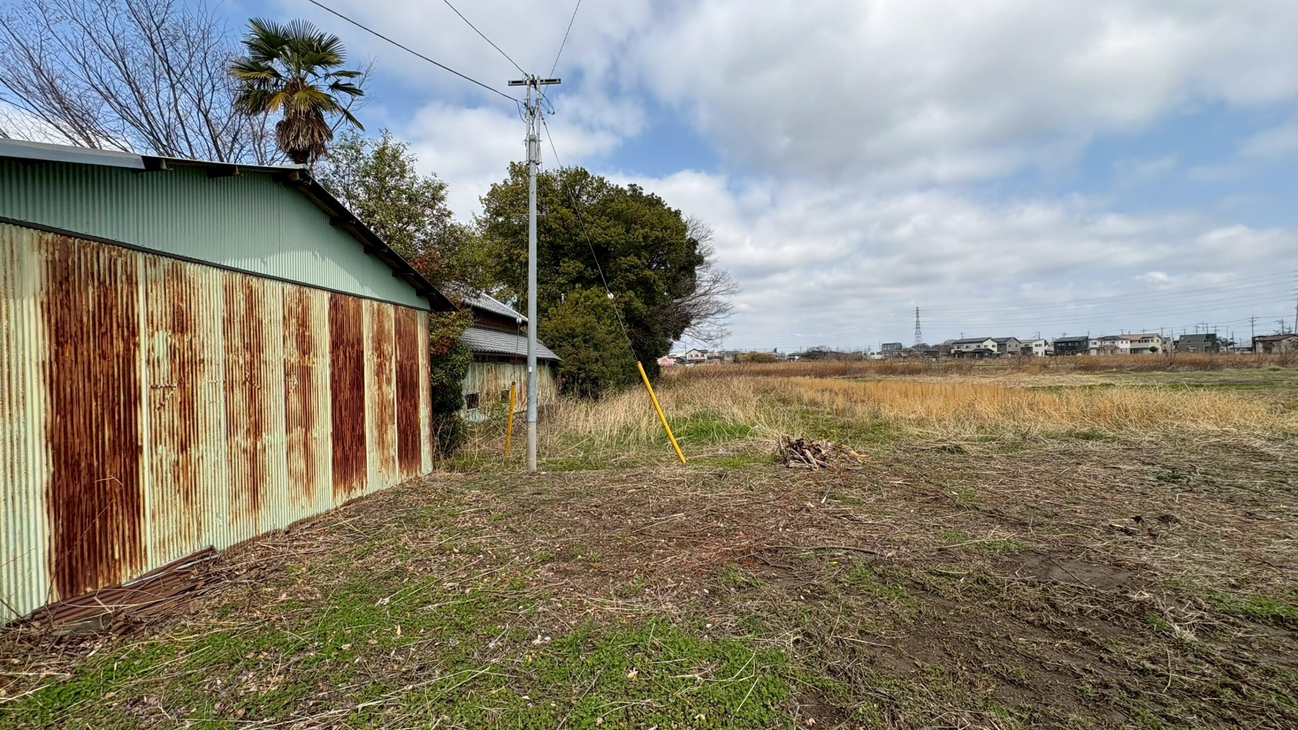 除草作業/伐採工事 @埼玉県熊谷市