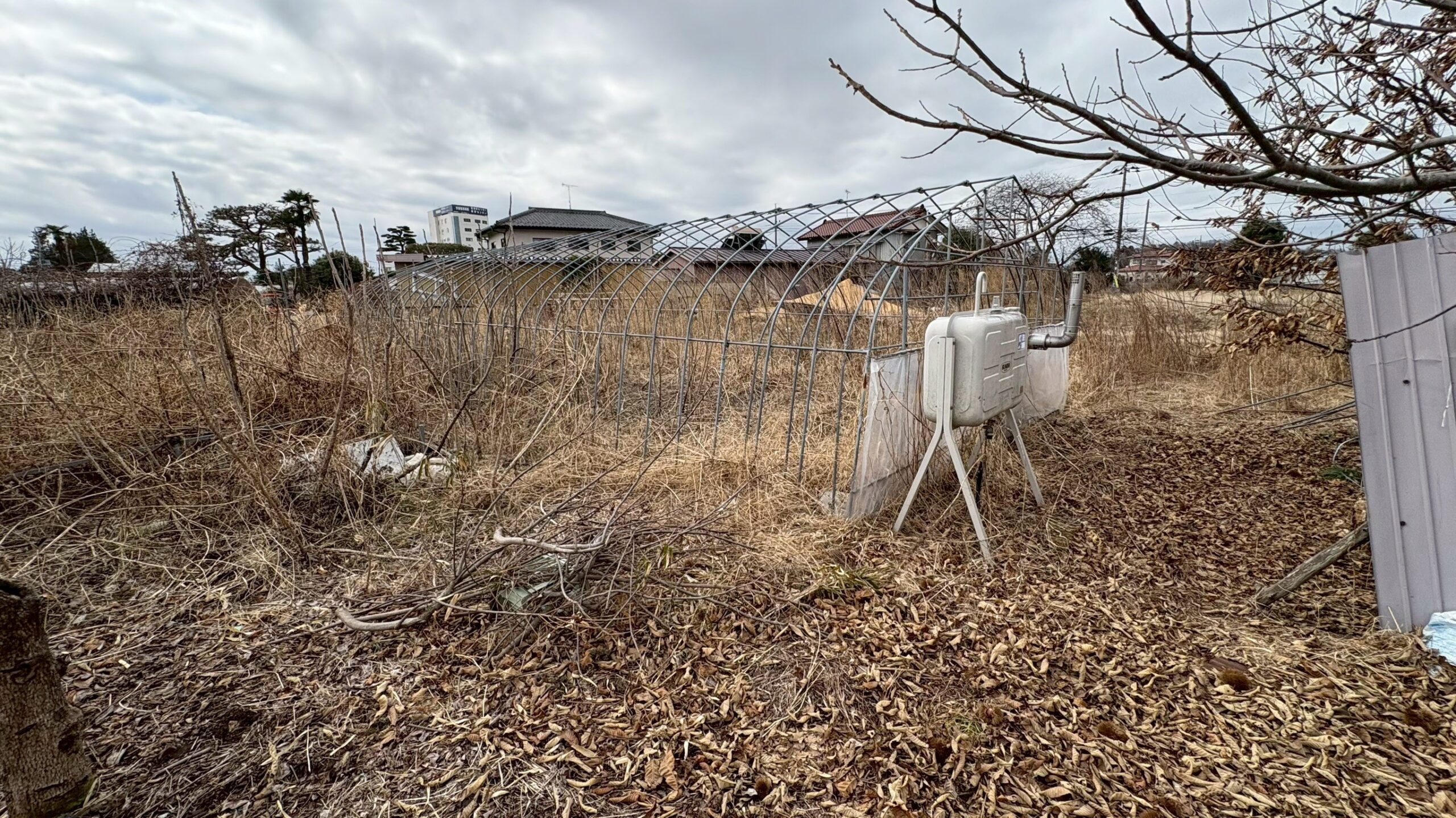 伐採・除草工事／撤去工事＠栃木県宇都宮市