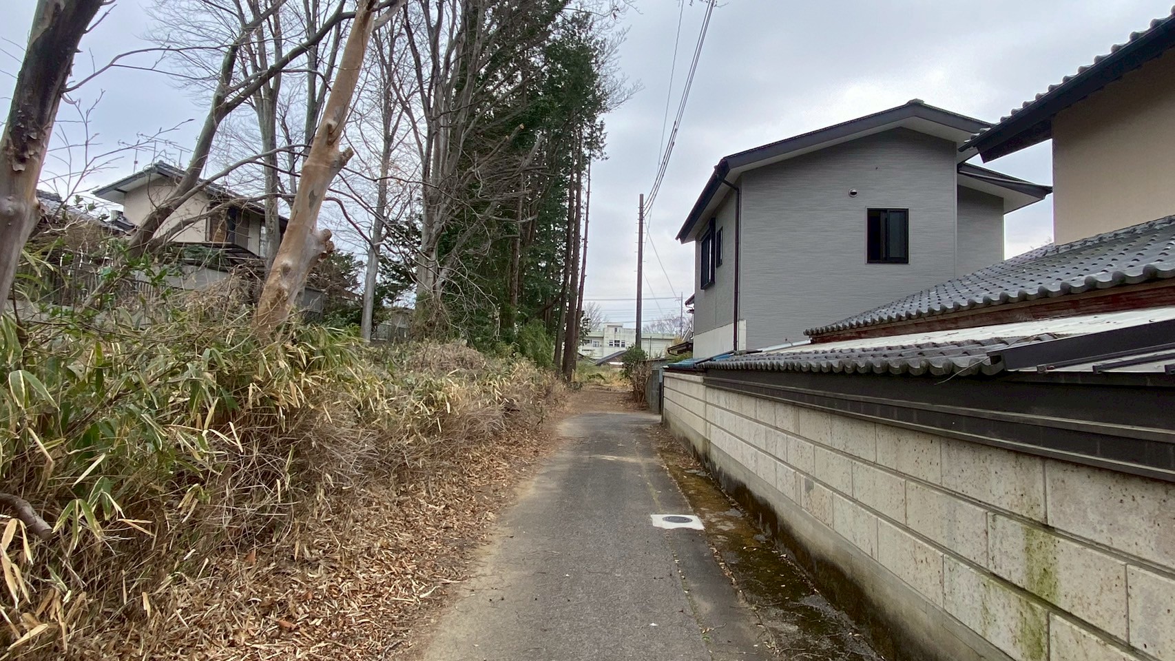 伐採工事@群馬県みどり市