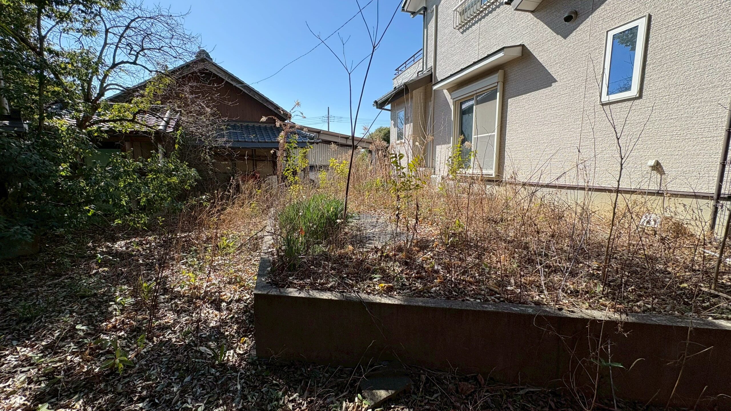 除草作業/伐採工事 @埼玉県熊谷市