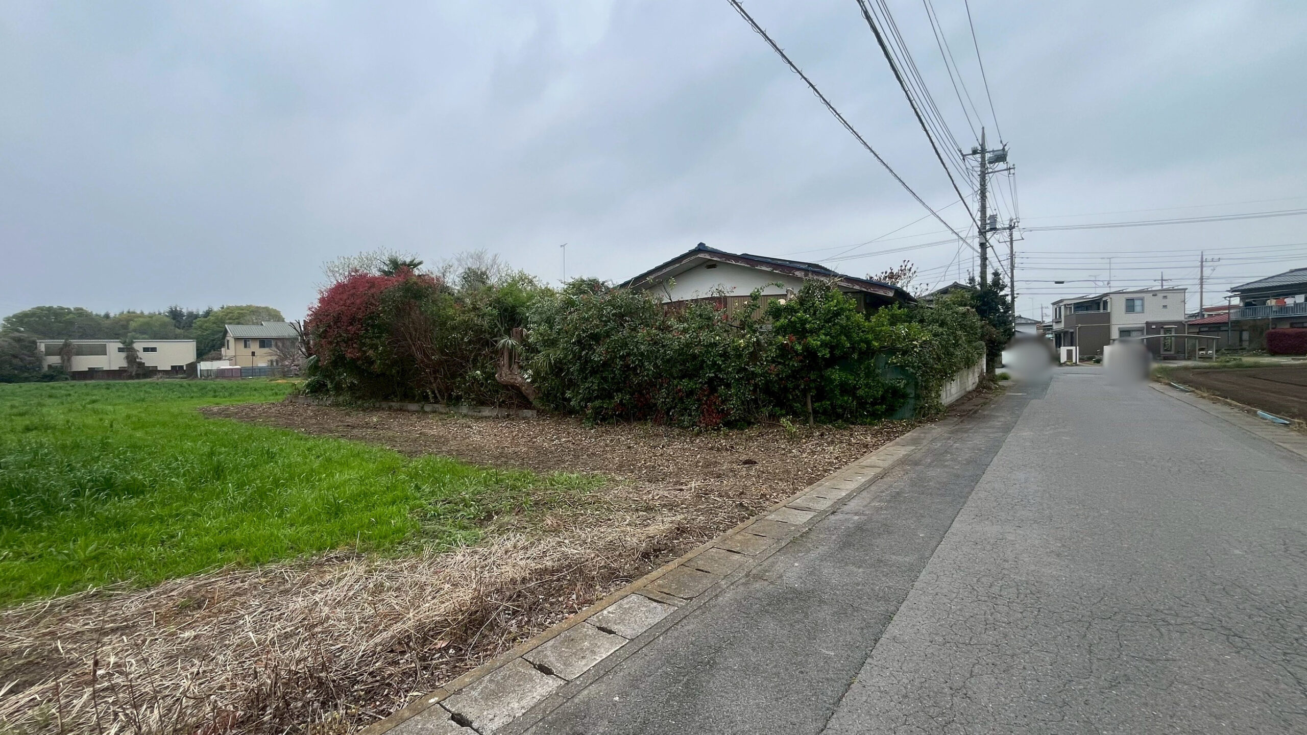 樹木伐採・剪定工事 @栃木県栃木市