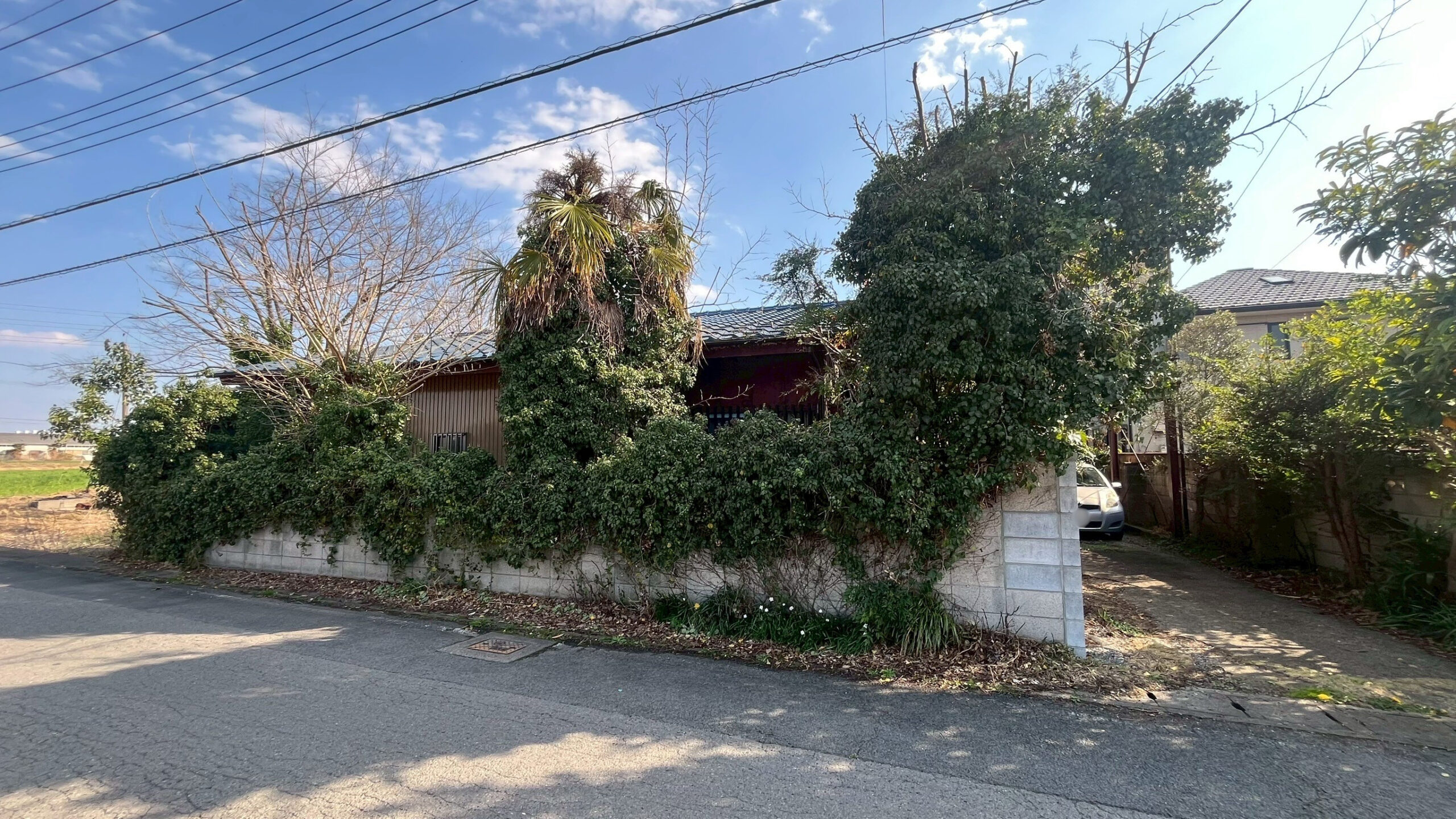 樹木伐採・剪定工事 @栃木県栃木市