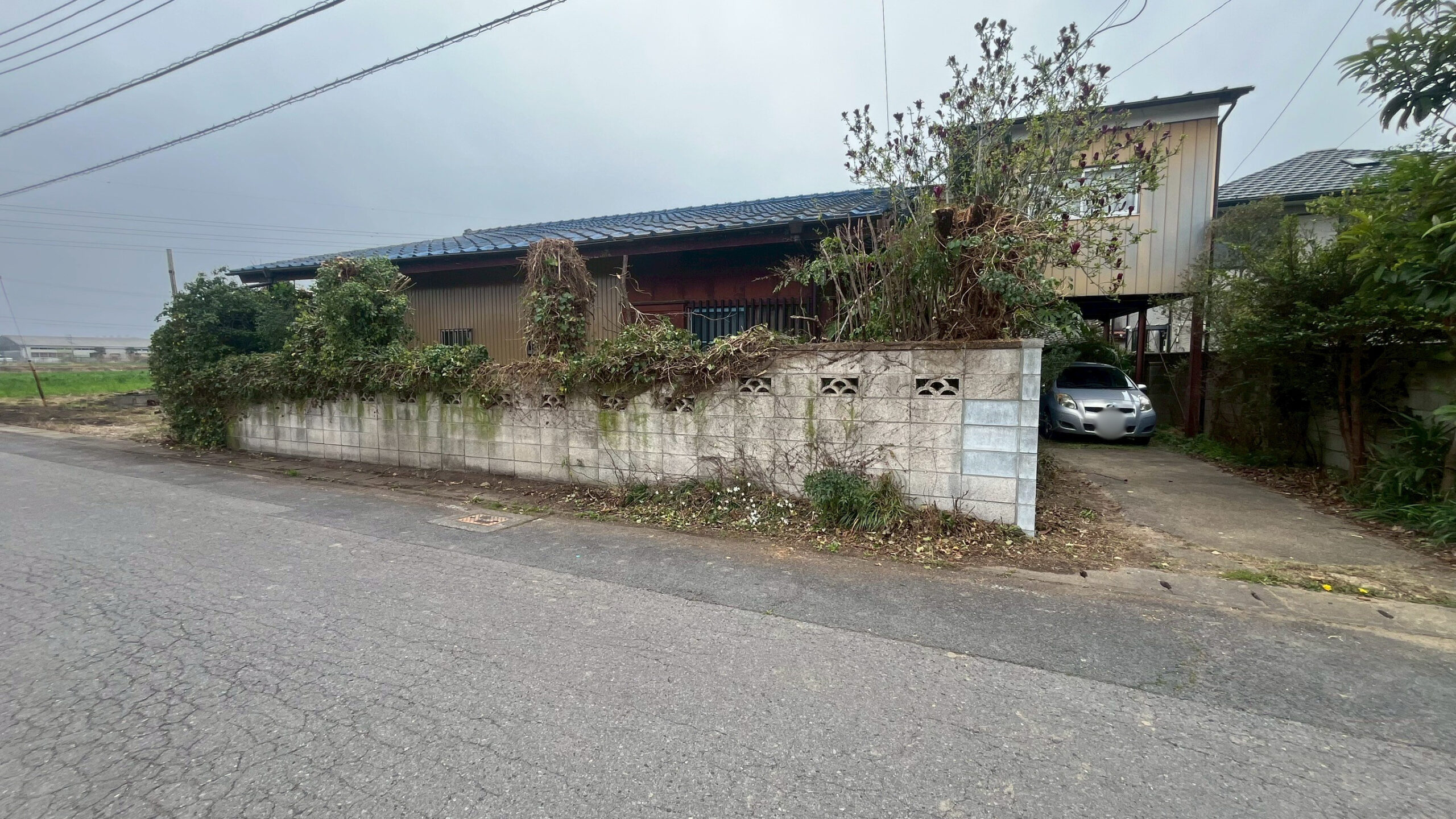 樹木伐採・剪定工事 @栃木県栃木市