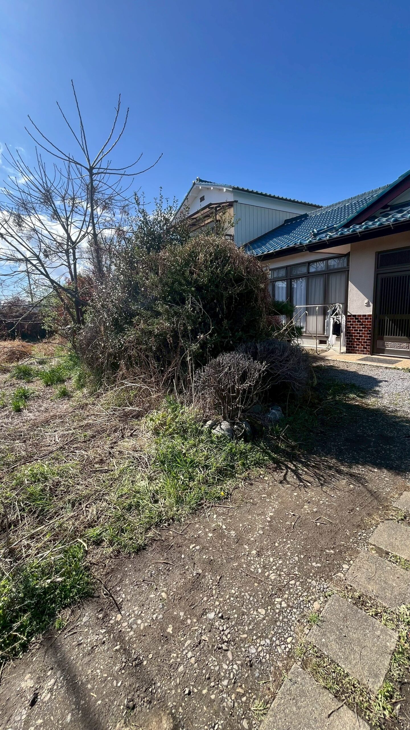 樹木伐採・伐根工事／除草工事／砕石敷設工事@栃木県栃木市