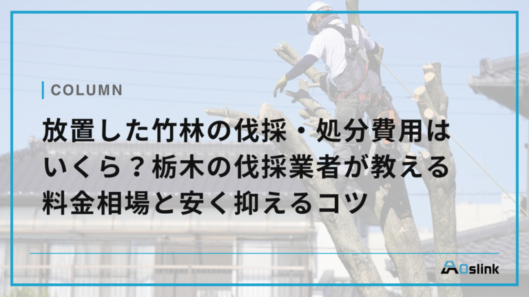 放置した竹林の伐採・処分費用はいくら?栃木の伐採業者が教える料金相場と安く抑えるコツ