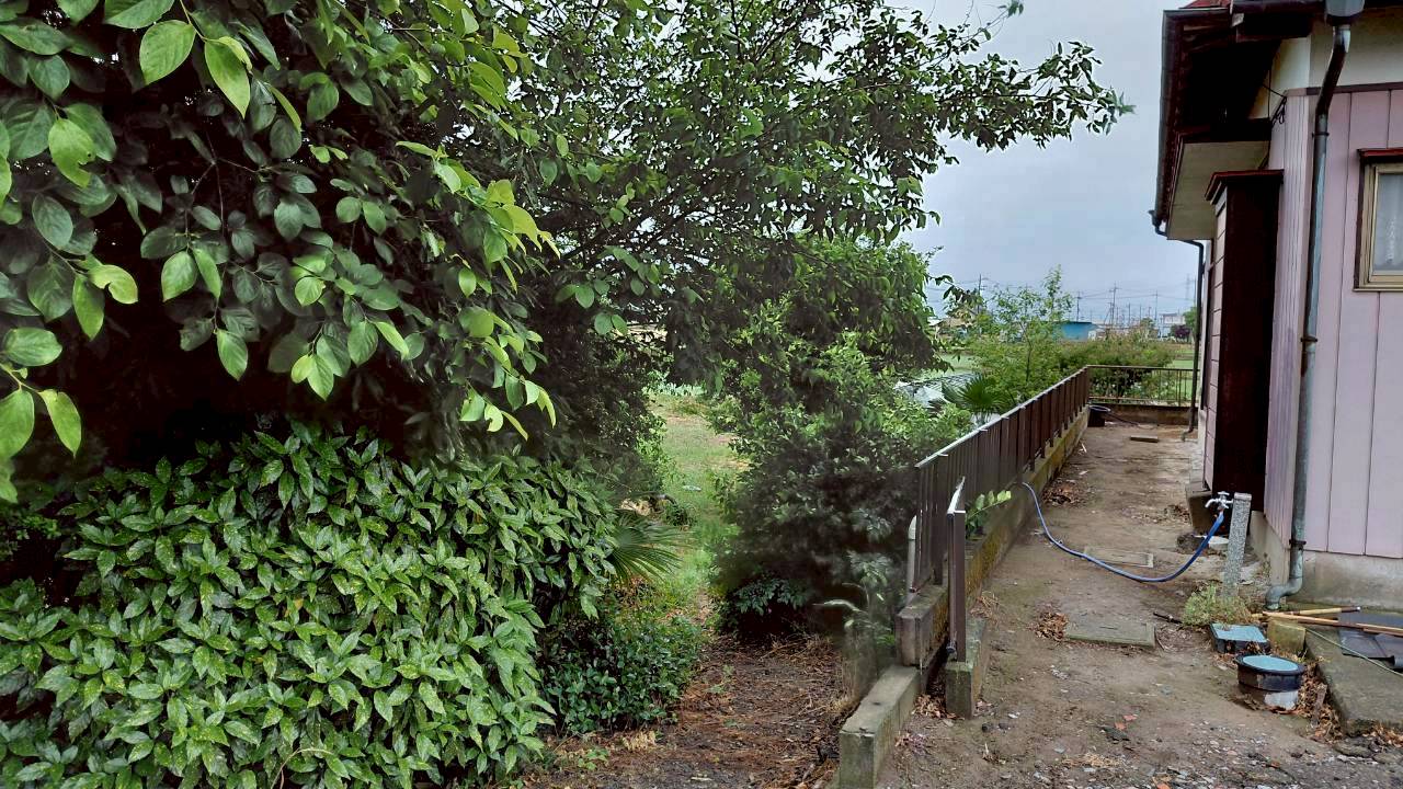 伐採・剪定作業＠栃木県小山市