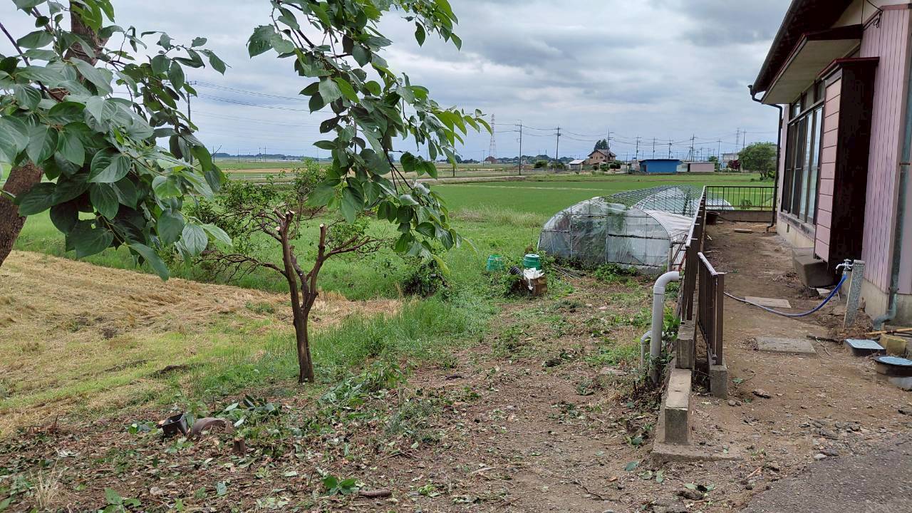 伐採・剪定作業＠栃木県小山市