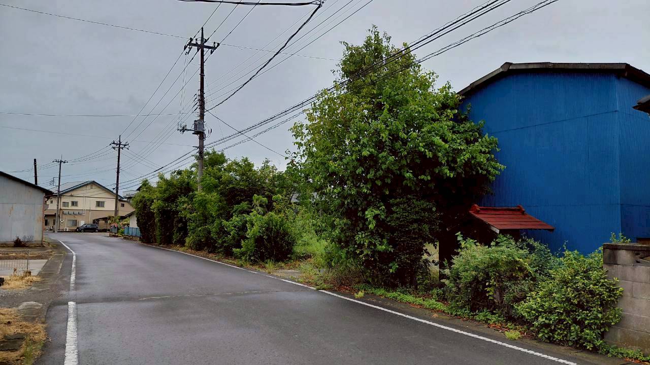 伐採・剪定作業＠栃木県小山市