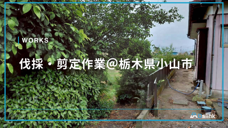 伐採・剪定作業＠栃木県小山市