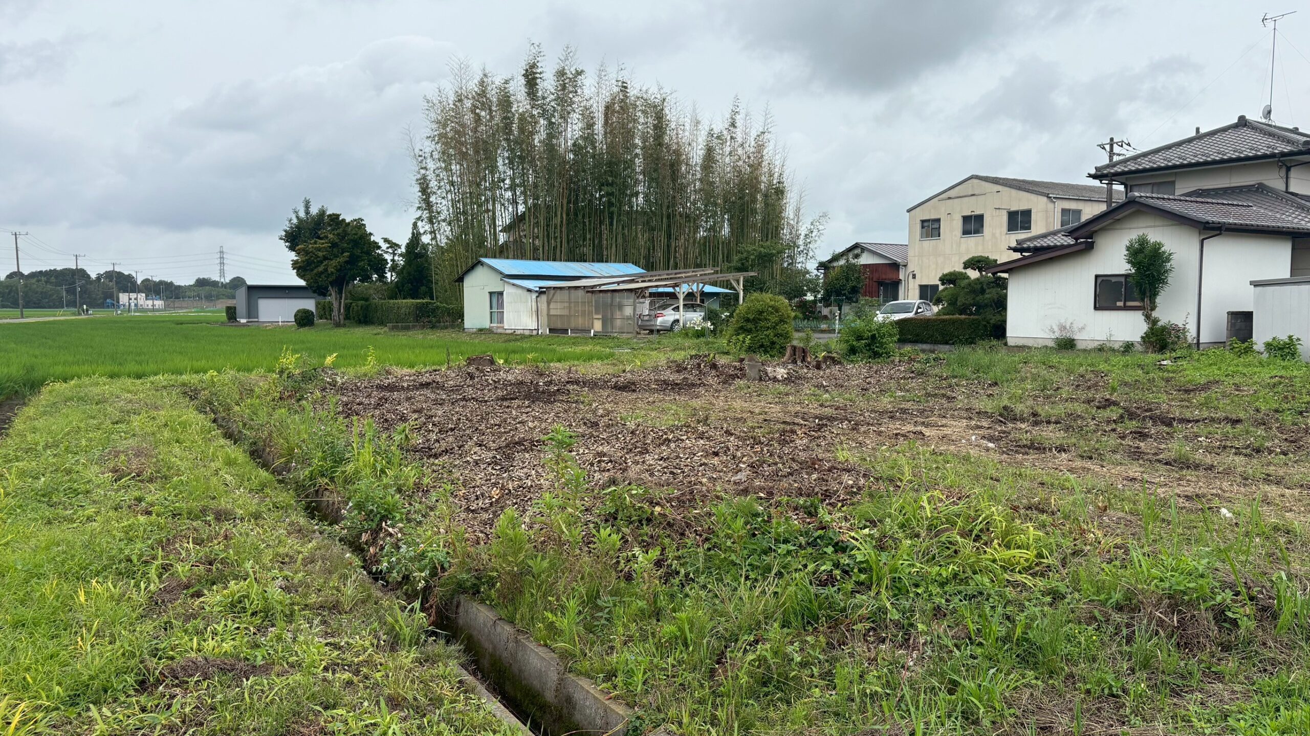 樹木・竹撤去@栃木県小山市