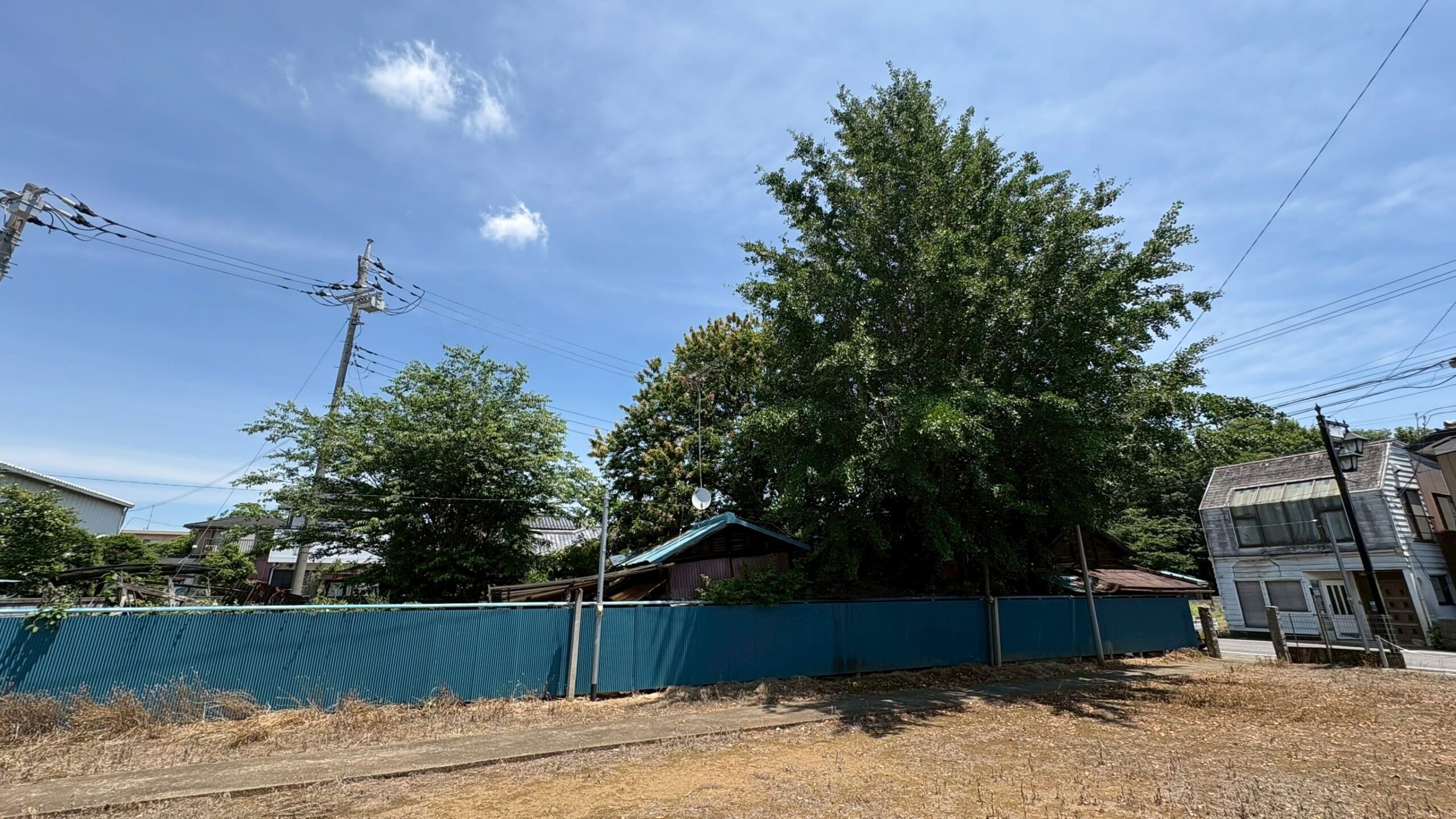 伐採工事＠茨城県猿島郡境町