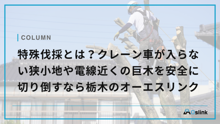 特殊伐採とは?クレーン車が入らない狭小地や電線近くの巨木を安全に切り倒すなら栃木のオーエスリンク