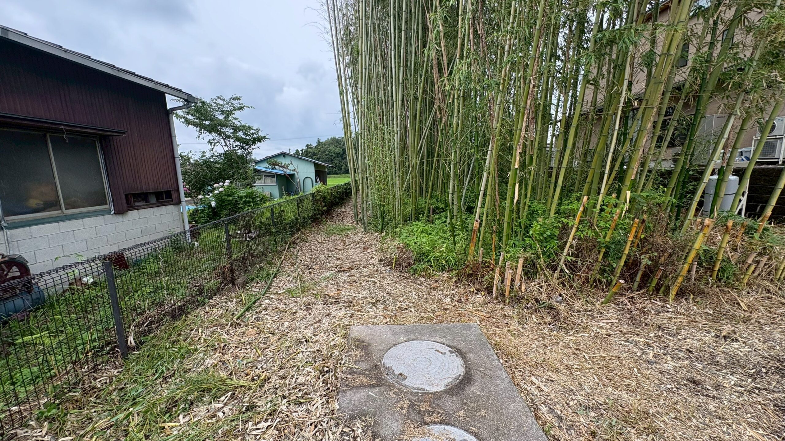 樹木・竹撤去@栃木県小山市