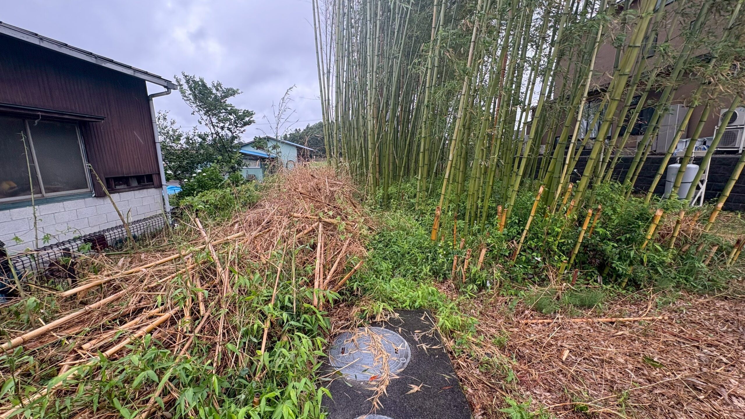 樹木・竹撤去@栃木県小山市