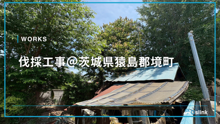 伐採工事@茨城県猿島郡境町