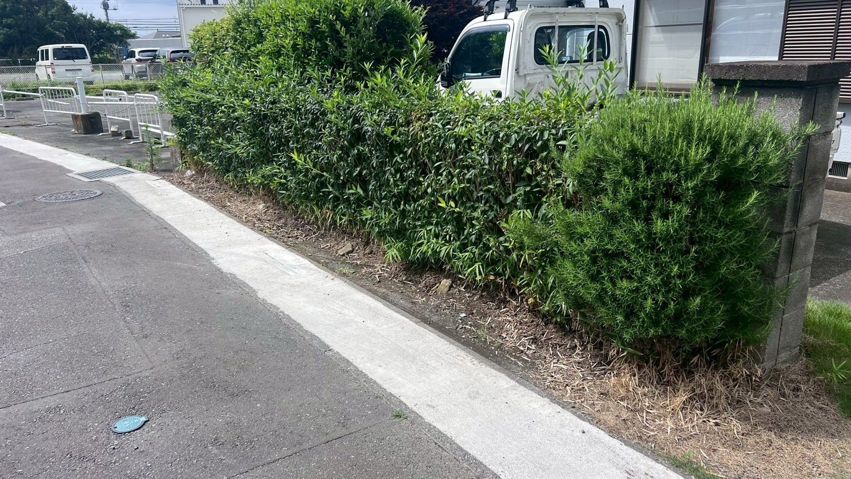 伐採伐根工事/フェンス新設工事@茨城県筑西市