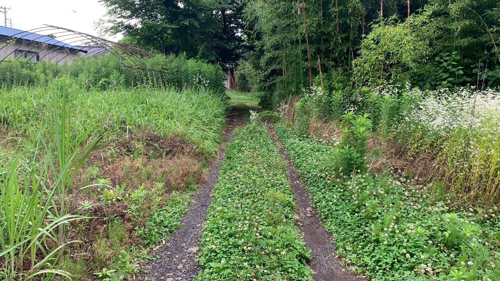 草刈り/伐採工事/砕石敷設工事 @栃木県小山市