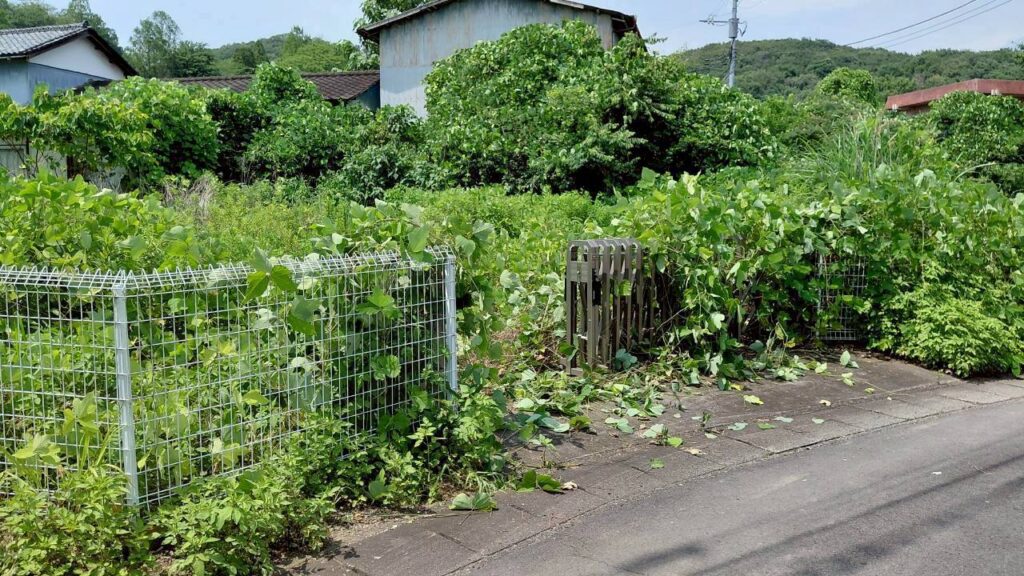 群馬県太田市のフェンスや門扉の周囲に植物が茂る施工前の敷地
