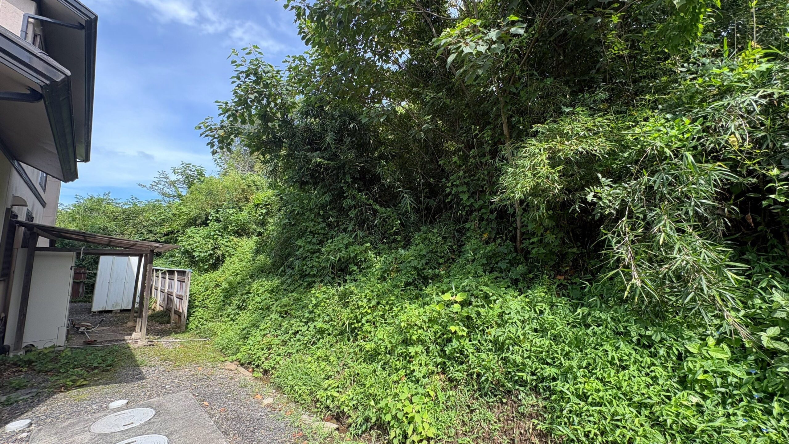 竹・樹木伐採工事/除草工事@栃木県栃木市