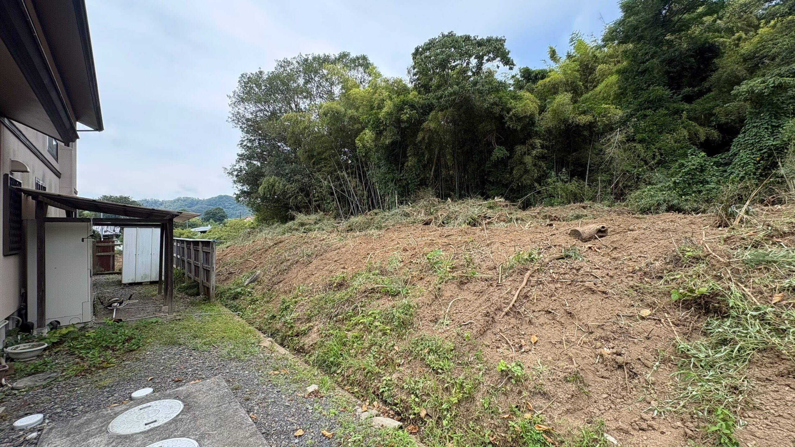 竹・樹木伐採工事/除草工事@栃木県栃木市