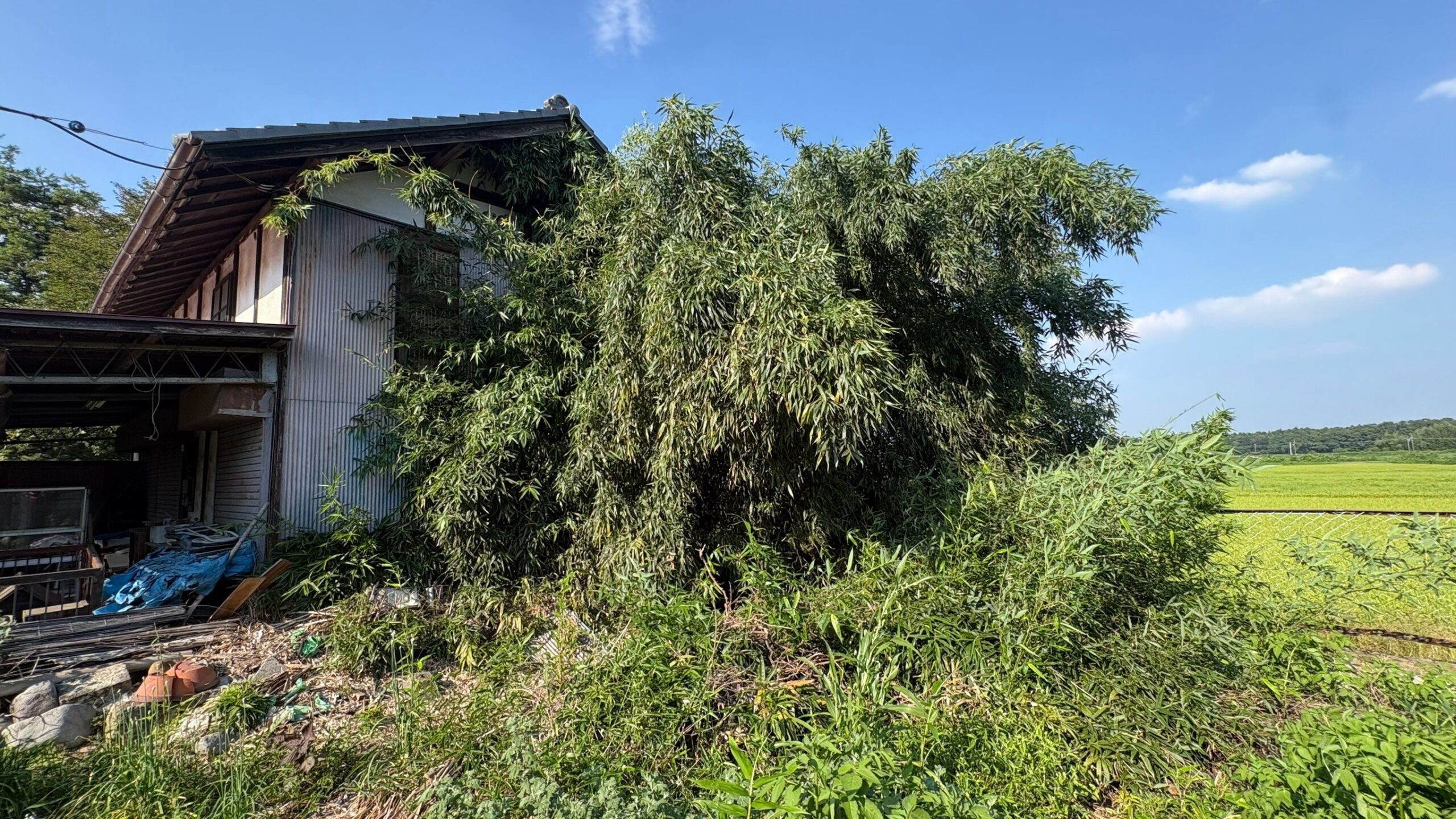 高所伐採工事 ＠栃木県下都賀郡壬生町