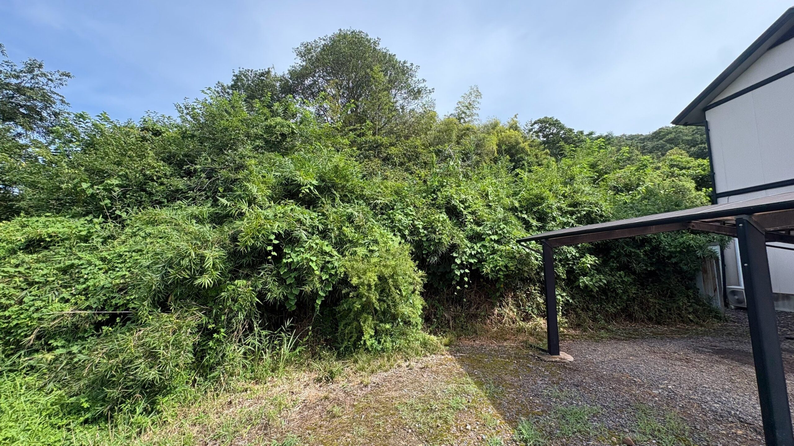 竹・樹木伐採工事/除草工事@栃木県栃木市