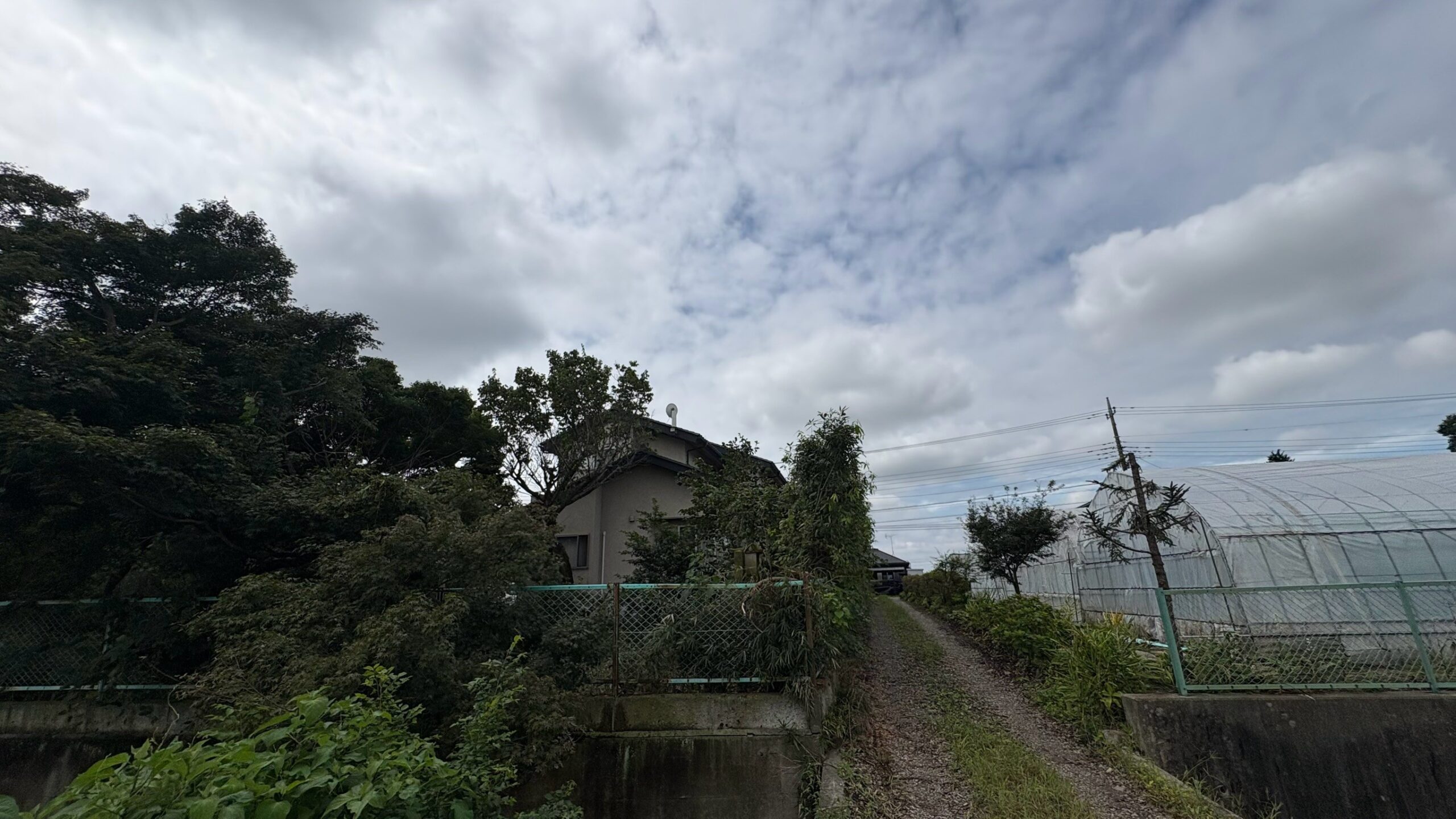 高所伐採工事 ＠栃木県下都賀郡壬生町