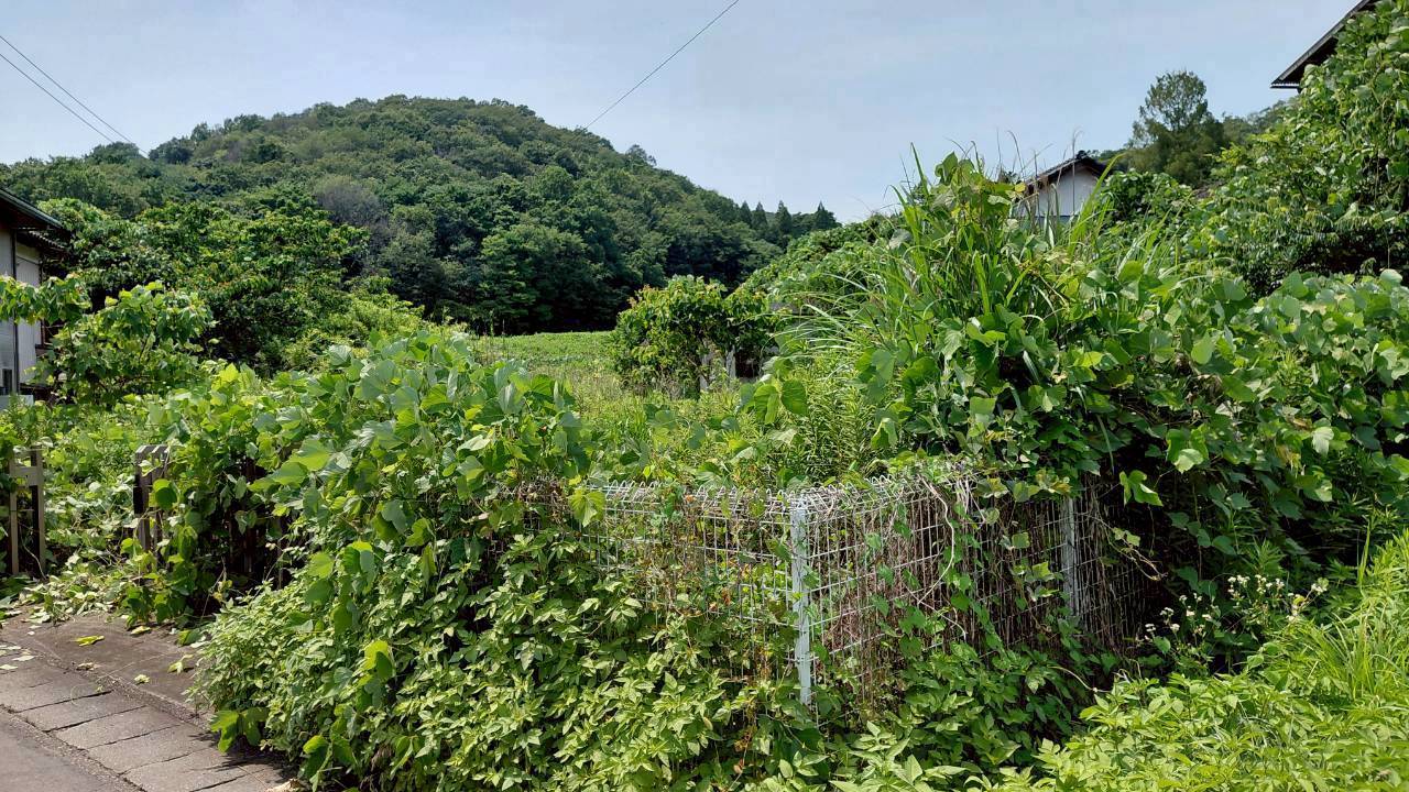 除草・伐採工事＠群馬県太田市