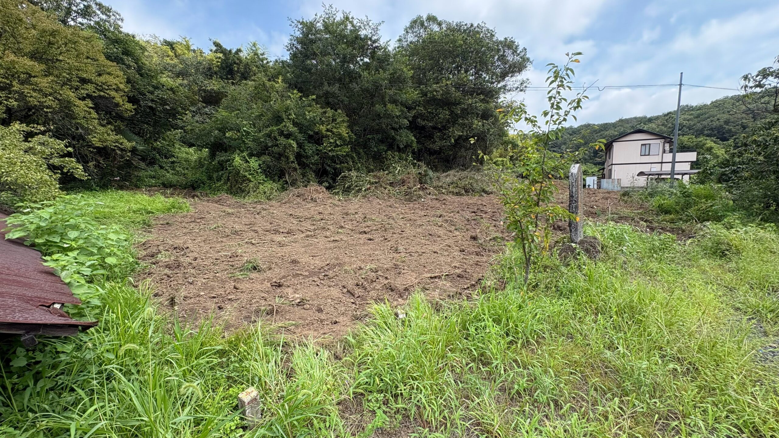 竹・樹木伐採工事/除草工事@栃木県栃木市