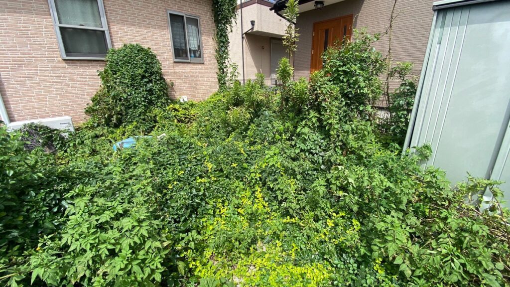 茨城県古河市の住宅と物置の間に草やツタが広がる施工前の庭