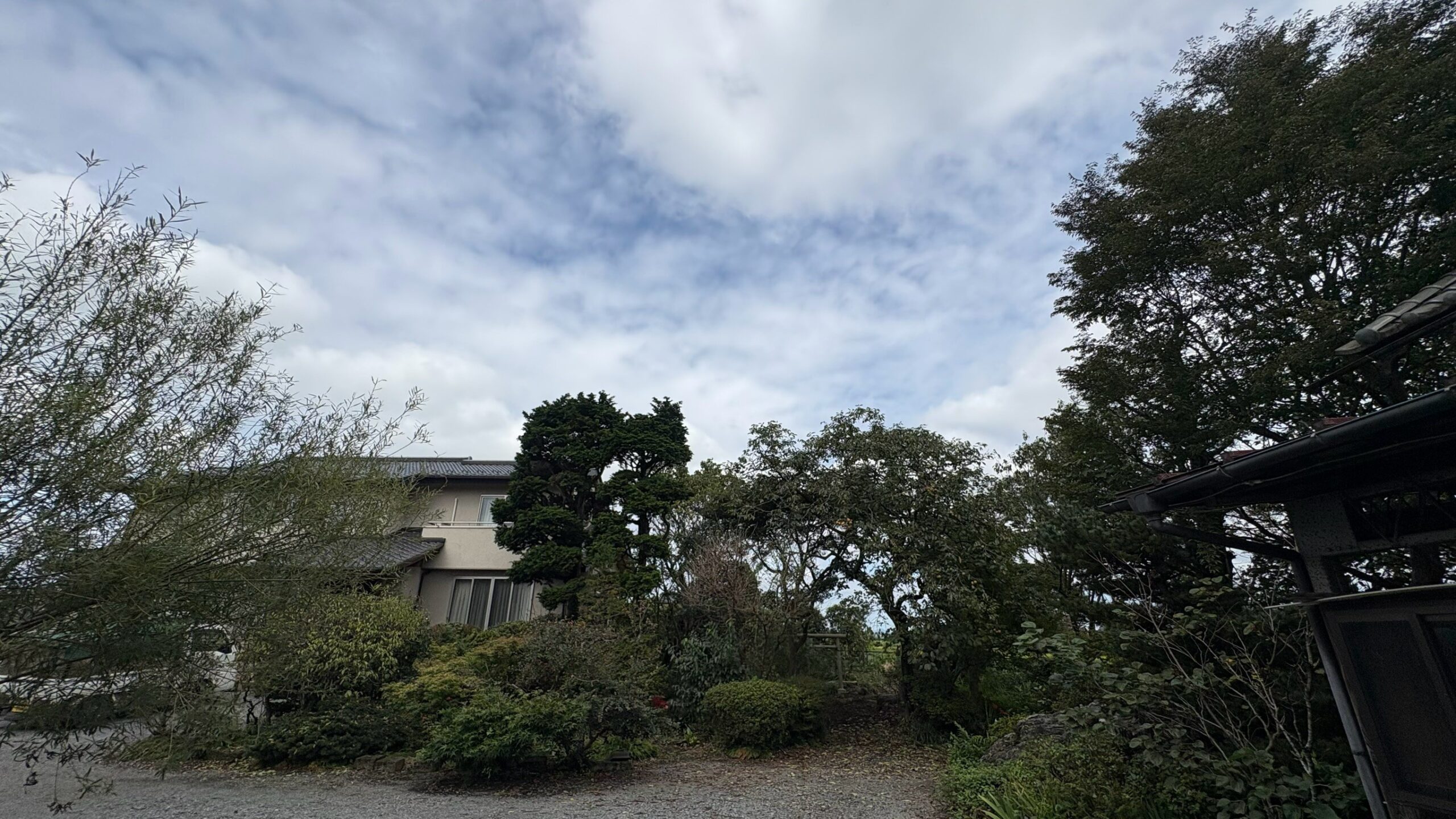 高所伐採工事 ＠栃木県下都賀郡壬生町